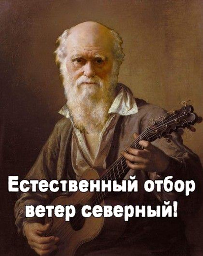 Не захотела рисковать дочерью