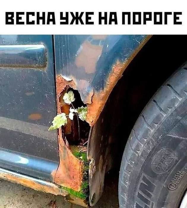 Завалялось тут случайно немного забавных картинок
