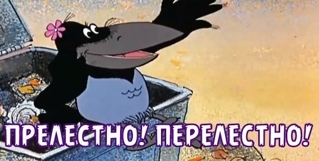 Бонус за безумный трюк коту