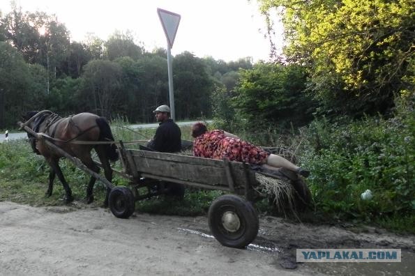 Обращение Лошадевода ко всем.