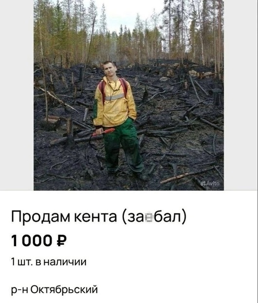 Папа, а что такое цивилизация?