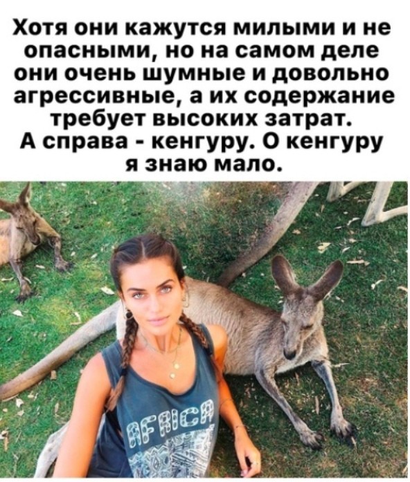 Смешнявых и не очень картинков пост
