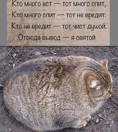 Картинки для деградации 115 (разной степени свежести)
