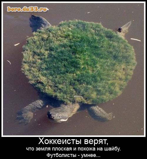 Прикалывается или реально плоскоземельщик?