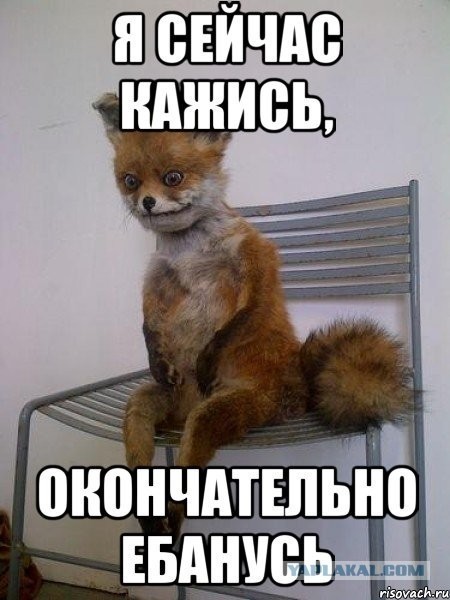 Ср@льный тандем⁠⁠