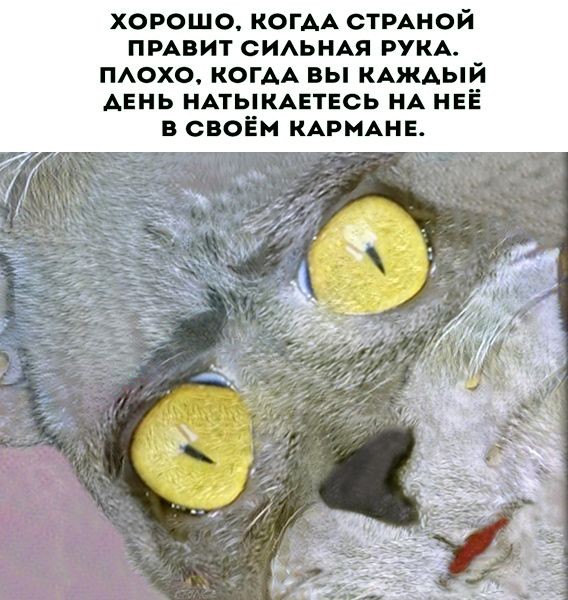 Так себе картинки 04.07.26