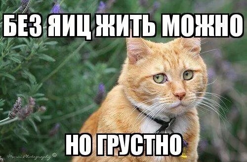 Вспомните, каким он парнем был