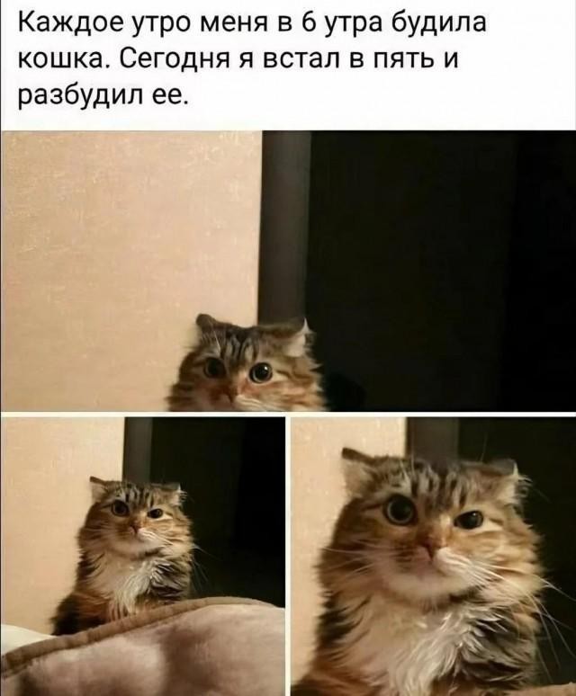 Картинки для деградации 299 (разной степени свежести)