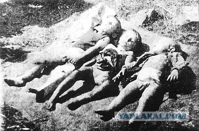 В Севастополе бандеровцы из Львова сожгли флаг РФ