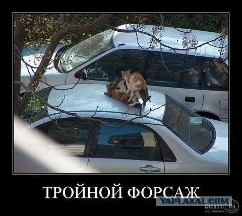 Самые провальные сексуальные снимки