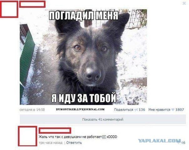 Смешные комментарии из социальных сетей