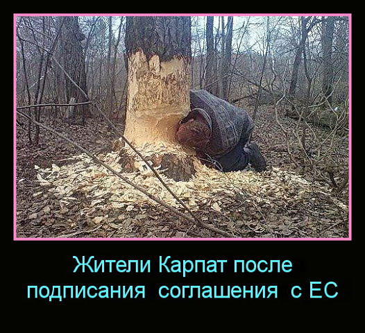 Небольшая подборка для улыбки!