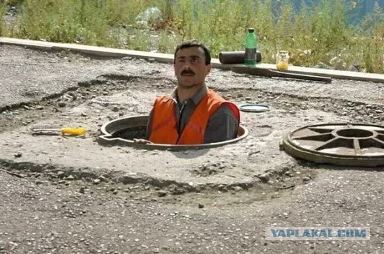 Факты, которые звучат как ложь,