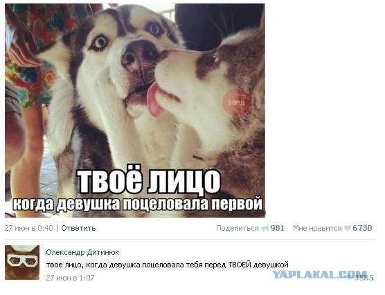 Комментарии из социальных сетей
