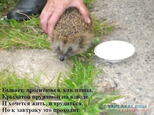 Чёрт, чёрт, чёрт!