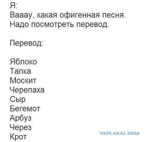 Комментарии из соцсетей, картинки