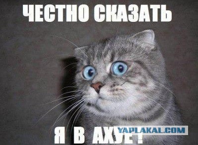 Мама читает очень страшную книгу