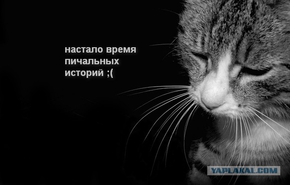 Немного чёрного юмора
