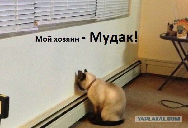 Казалось бы, обычное утро...