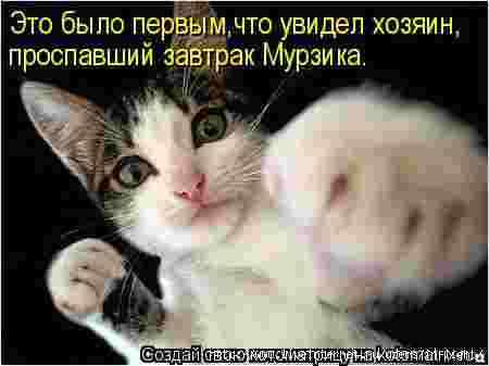 Ну и где хавчик, я спрашиваю?