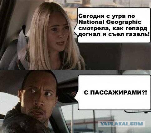 Картинки набрались разные