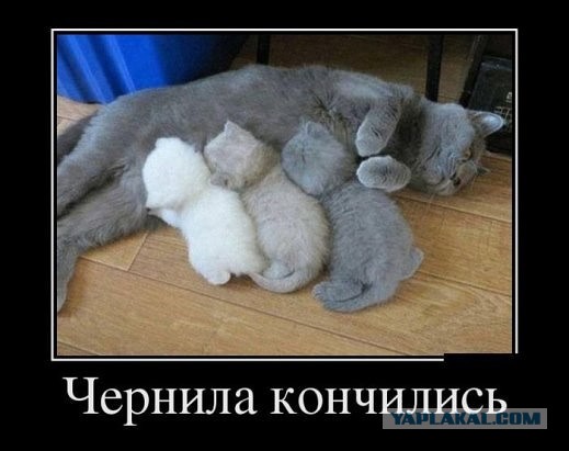 Картинки на утро вторника