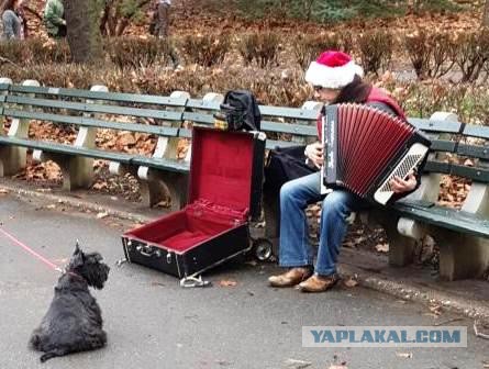 Внутри агатов