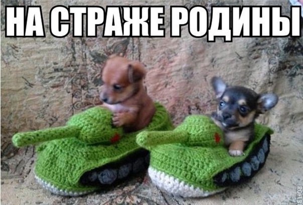 Подборка картинок из сети