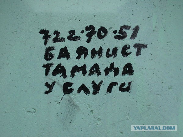 Вот такое "резюме" принес гражданин.