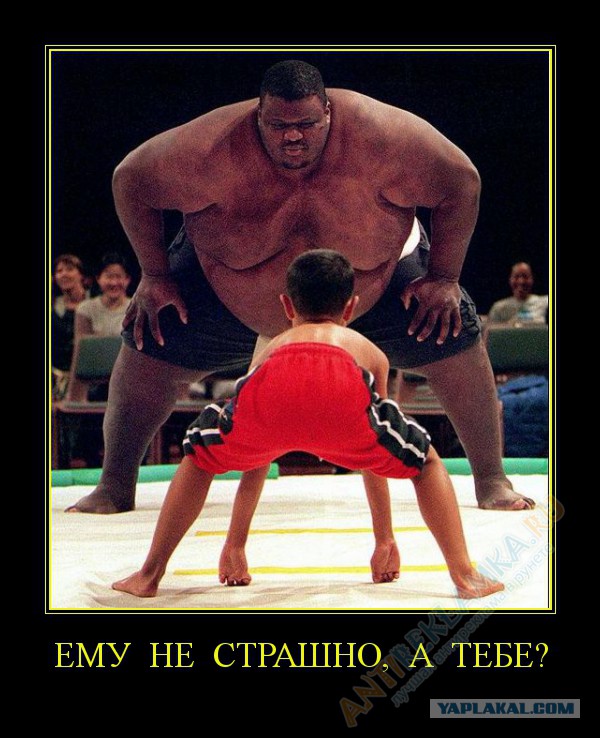 ЯП а давайте выберем меня президентом!