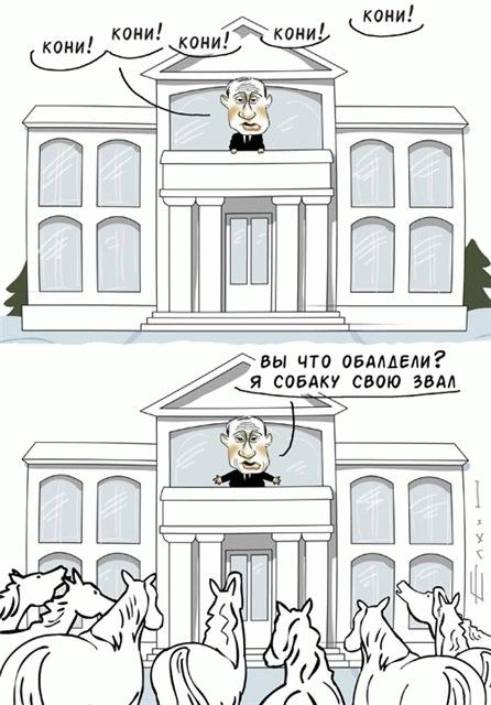 КАРИКАТУРЫ. Прикольные карикатуры