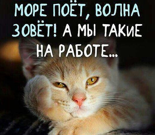 Небольшой микс картинок и гифок .