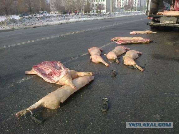 Про мост Кадырова объявят завтра