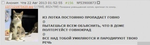 Смешные комментарии из социальных сетей 25.11.2016
