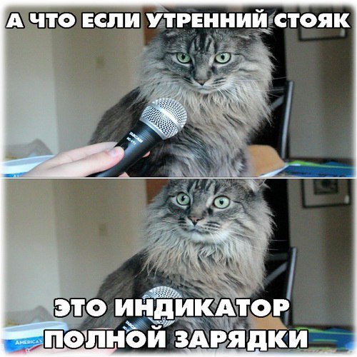 Доза раскумара на новую неделю
