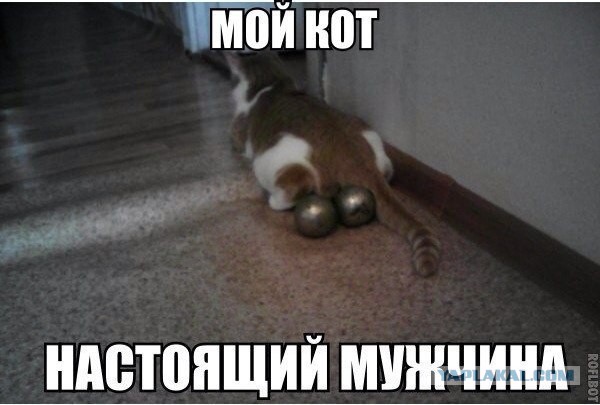 Субботний картиночный винегрет
