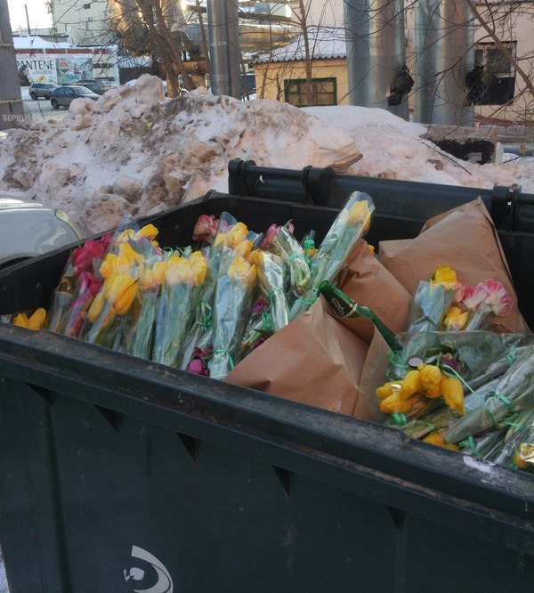 Подборка безудержного веселья