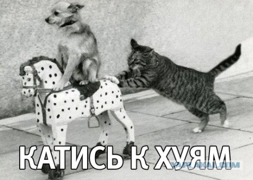 Распродаю кучу ноутбуков БУ Москва.