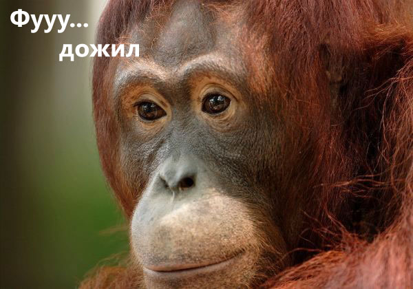 С ПЯТНИЦЕЙ!