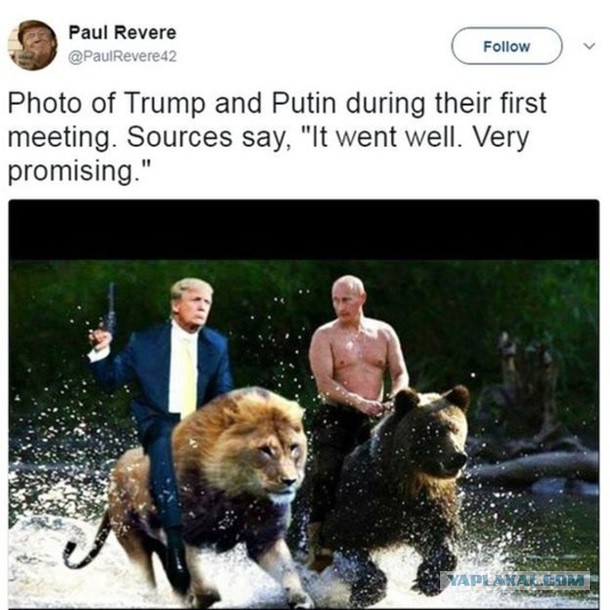 Фото: Первая встреча Путина и Трампа