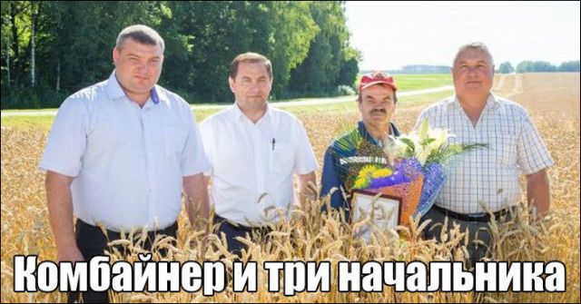 100 картинок для поднятия настроения!