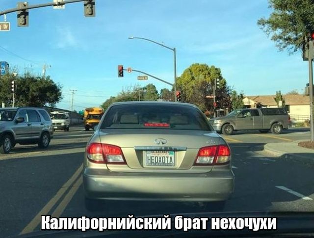 Подборка интересных и веселых картинок