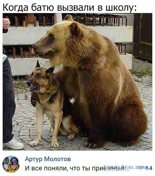 Картинки с надписями для настроения