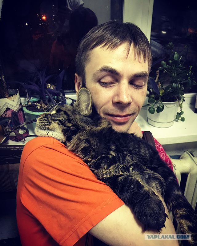 А не открыть бы нам котовторник 03.04.2018
