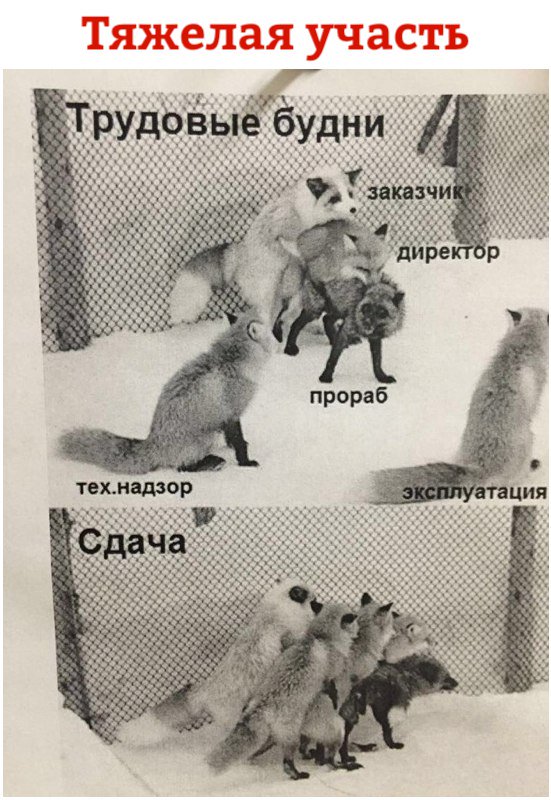 Не очень адекватный юмор