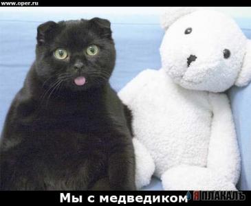 Котовторник на ЯПлакалъ (13.05.08)