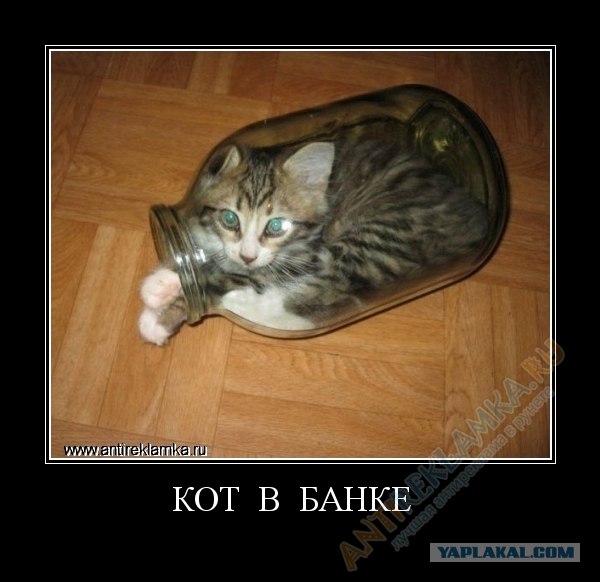 Ну чё уставился?