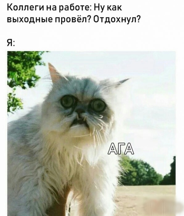 Немного картинок в этот понедельник