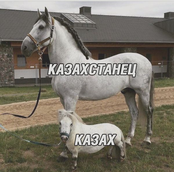 Куда катится жизнь