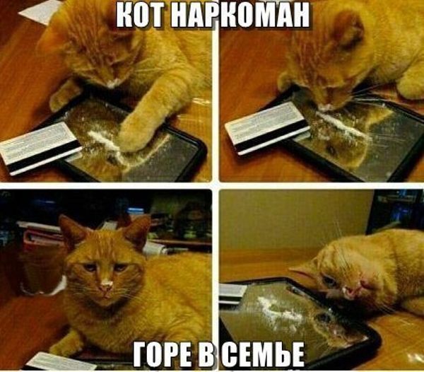 Что характерно, обнаглели!